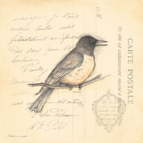 Bird II