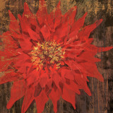Floral Frenzy Red IV