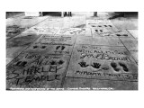 Hollywood  California - Sidewalk of Stars by Chinese Theatre