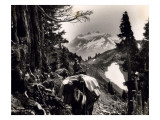 Hoh-Solduc Trail  Olympic Peninsula  Undated