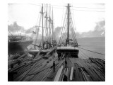 Loading Timber at Tacoma Mill  1909