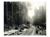 Lake Crescent Road  1919