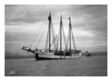 Schooner Great Bear  1916