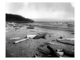 Neah Bay Low Tide  1914