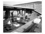 Icing Cars  Cold Storage Plant at Zillah  1915