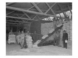 Warehouse Scene  Circa 1920s