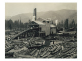 Logging Mill  Circa 1929