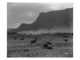 Cattle  Grand Coulee  1916