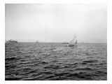 Lipton Cup Races  1914