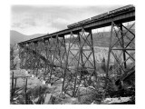 Bridge at Lester  WA  1915