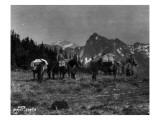 Pack Train  Solduc Boulder Divide  Olympic Peninsula  Undated