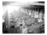 Sorting Coal at Franklin Mines  Feb 19  1902