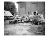 Harvesting Hay  Circa 1909