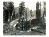 Camp at Logoon Lake  MT  1922