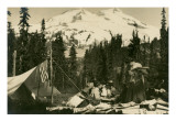 The Botany Bunch  1908