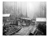 Milwaukee Road Construction Camp  Oct 24  1906