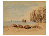 Beach Scene