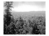 Spokane Through the Trees  1915