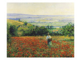 In the Poppy Field