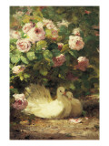 Two Doves