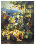 Still Life with Grape
