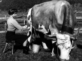 Françoise Arnone: Thérèse Etienne  1958