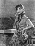Gina Lollobrigida