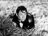 Philippe Noiret: La Vie de Chateau  1965