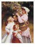 Picking Apples
