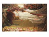 The Sleeping Beauty