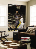 Charlotte Bobcats v Indiana Pacers: Kwame Brown and James Posey