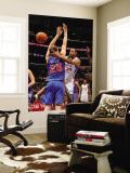 New York Knicks v Los Angeles Clippers: Brian Cook and Timofey Mozgov