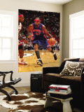 Detroit Pistons v Miami Heat: Richard Hamilton and LeBron James