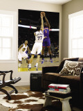 New York Knicks v Golden State Warriors: Amar'e Stoudemire and Vladimir Radmanovic