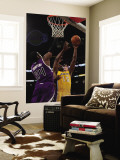 Sacramento Kings v Los Angeles Lakers: Jason Thompson and Ron Artest