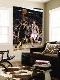 Indiana Pacers v Phoenix Suns: TJ Ford and Goran Dragic