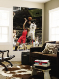 Toronto Raptors v Indiana Pacers: Linas Kleiza and James Posey