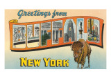 Greetings from Buffalo  New York