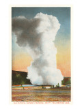 Old Faithful  Yellowstone Park