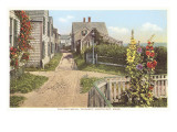 Saltbox Houses  Siasconset  Nantucket  Massachusetts