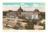 Champs Elysees  Petit Palais  Paris