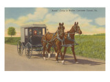 Amish in Carriage  Pennsylvania