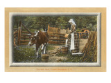 Milk Maid  Catskills  New York