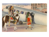 Indian on Pinto with Airplane  Oklahoma City  Oklahoma