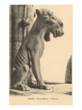 Gargoyle on Notre Dame  Paris