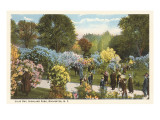 Lilac Day  Highland Park  Rochester  New York