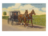 Amish in Carriage  Lancaster County  Pennsylvania