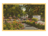 Park with Flowers  Portland  Oregon