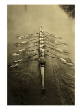 Rowing Crew
