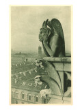 Gargoyle on Notre Dame  Paris